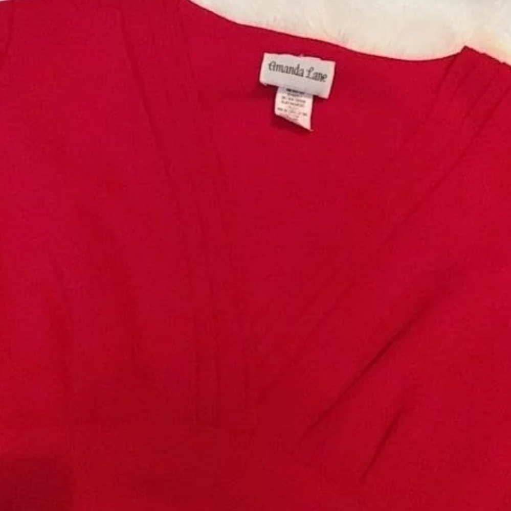 Amanda Lane Chiffon Dress (10)