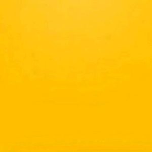 Meet your Posher, Lily