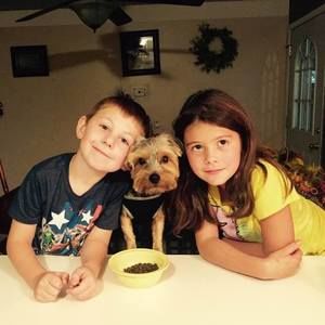 Meet your Posher, Chandra