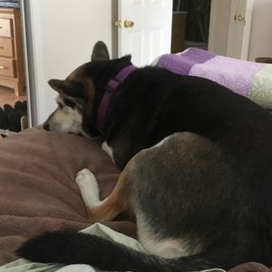 Meet your Posher, Karen