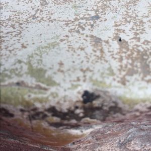 Meet your Posher, Donovan