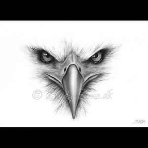 Meet your Posher, Darion