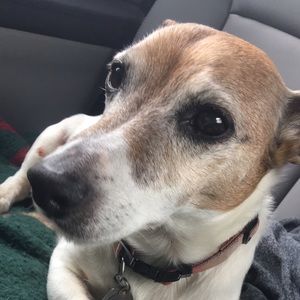 Meet your Posher, Claire