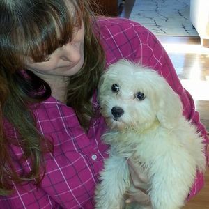 Meet your Posher, Andrea