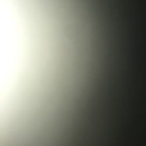 Meet your Posher, Trevor