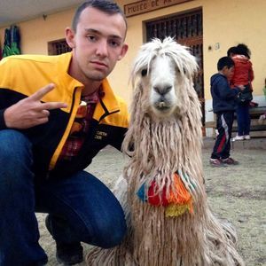 Meet your Posher, Maxwell