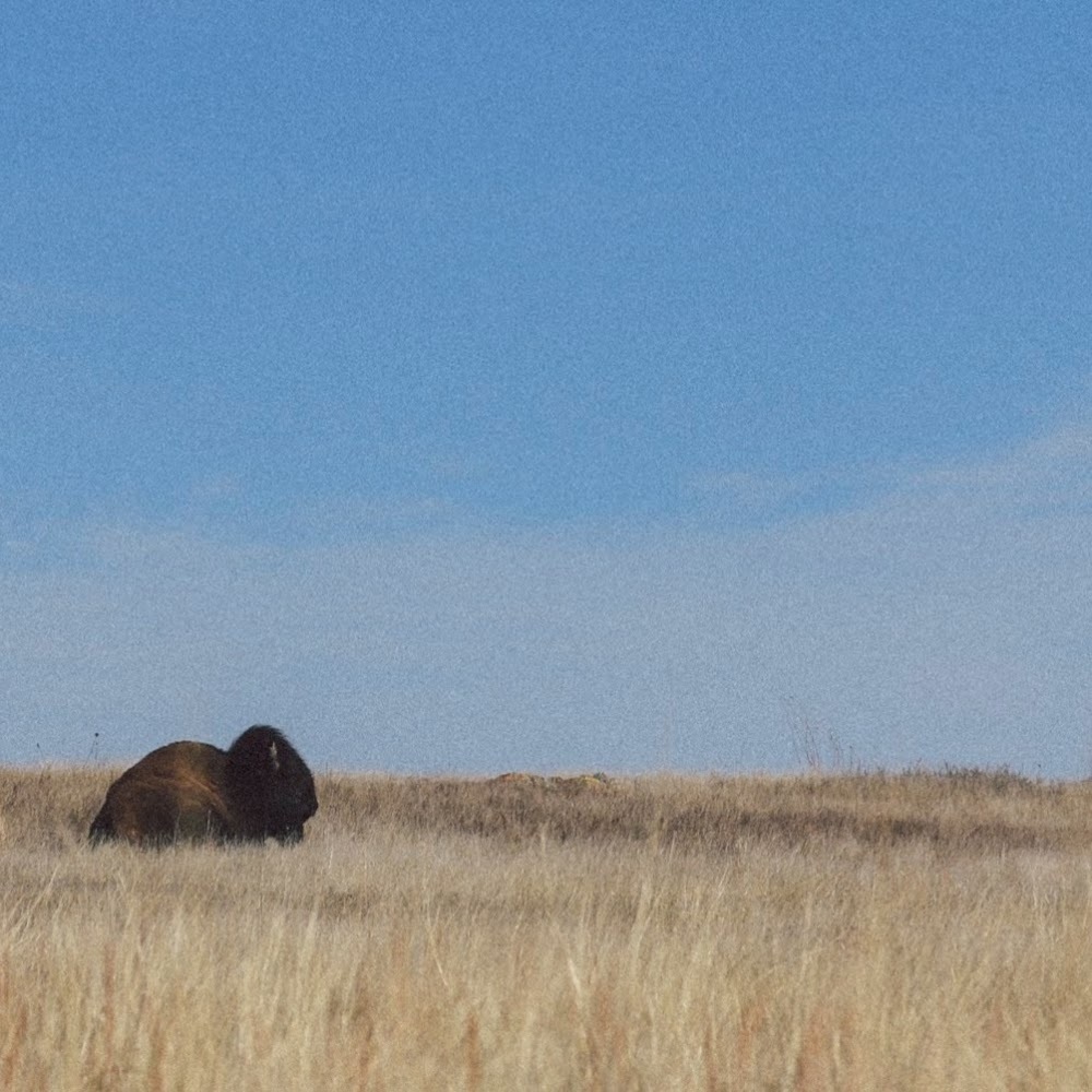 Meet your Posher, Katy