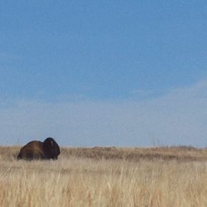 Meet your Posher, Katy