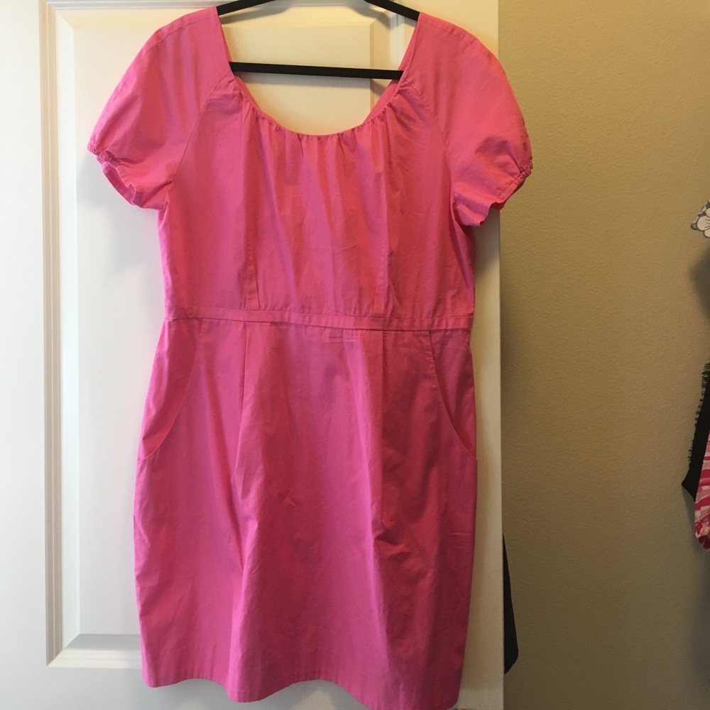 NWT size 14 pink J Crew dress