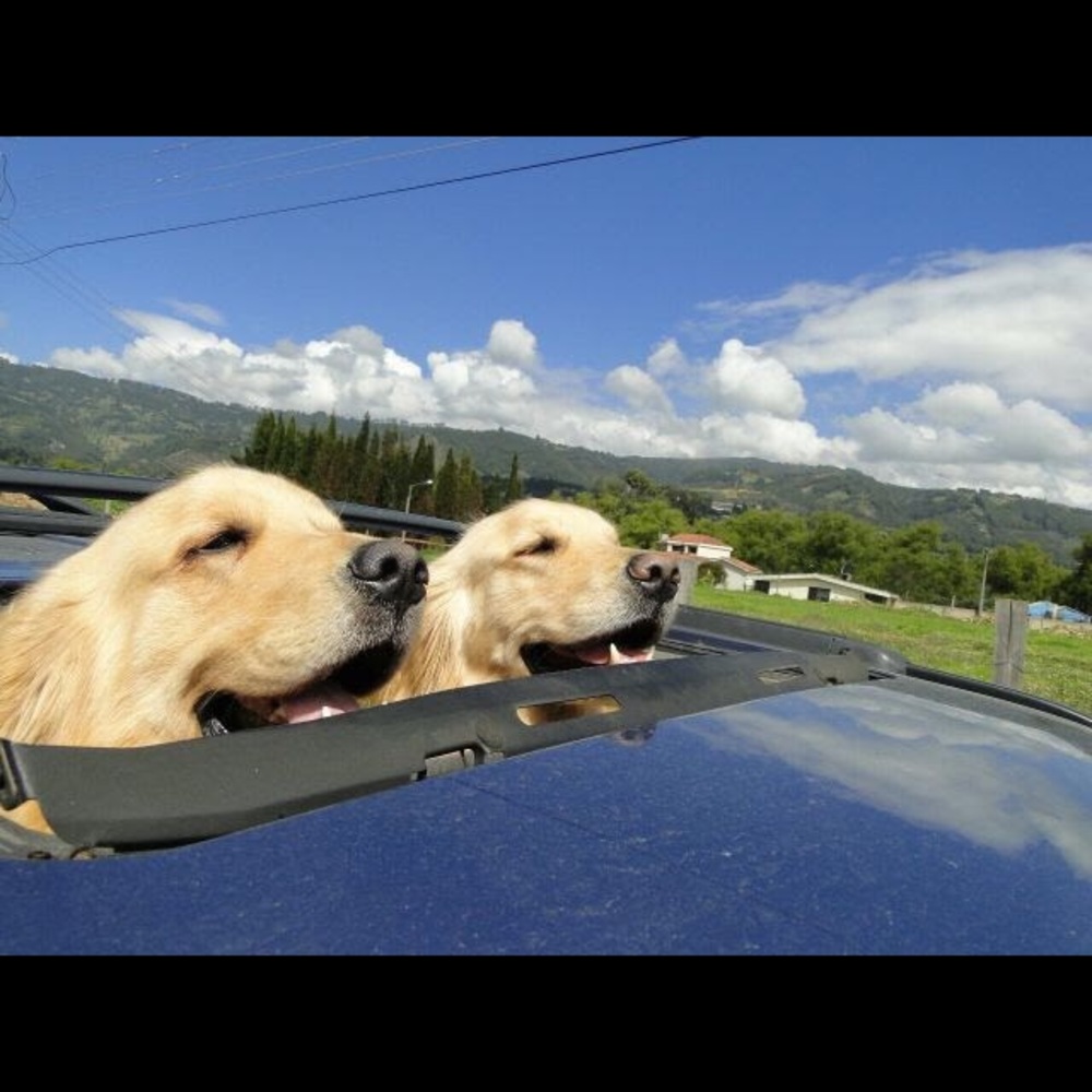 Meet your Posher, Elisa