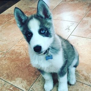 Meet your Posher, Sean