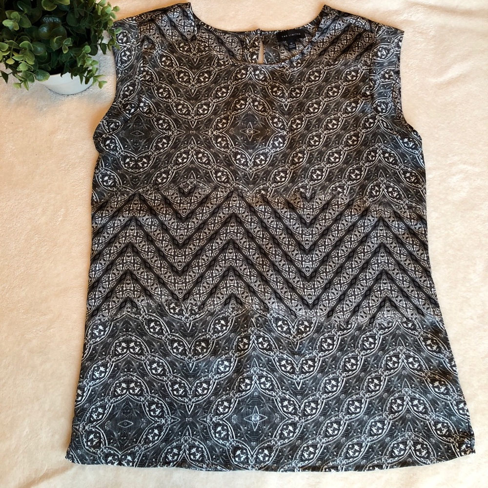 The Limited Blouse