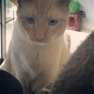 Meet your Posher, Jamie