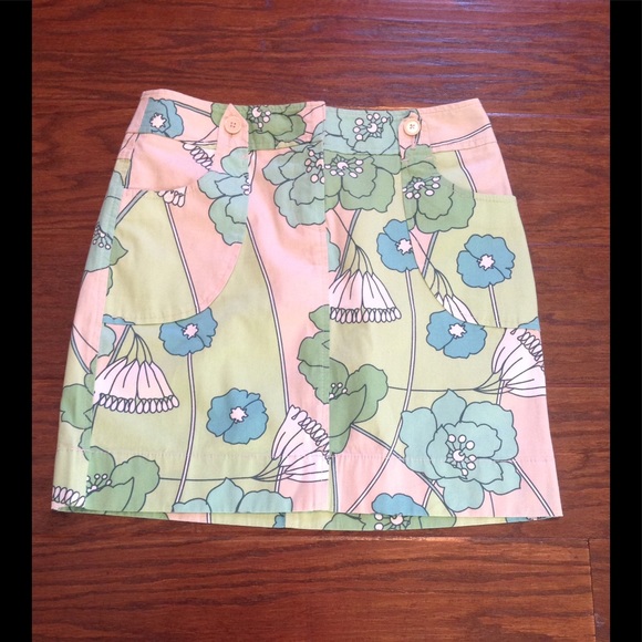 Ann Taylor Loft Skirt. Size 2. - Picture 1 of 4