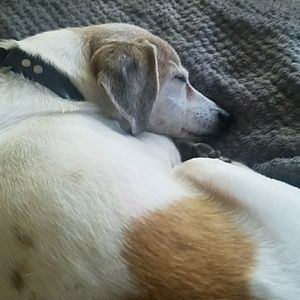 Meet your Posher, Janie