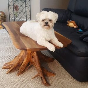 Meet your Posher, Cheryl