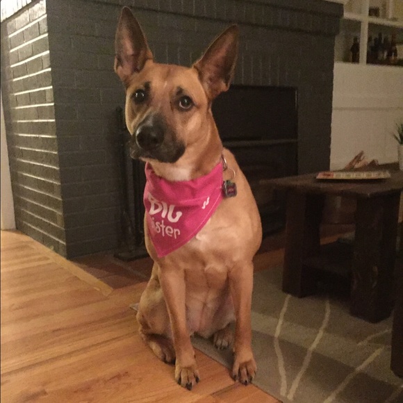 Meet your Posher, Chris - Picture 1 of 1