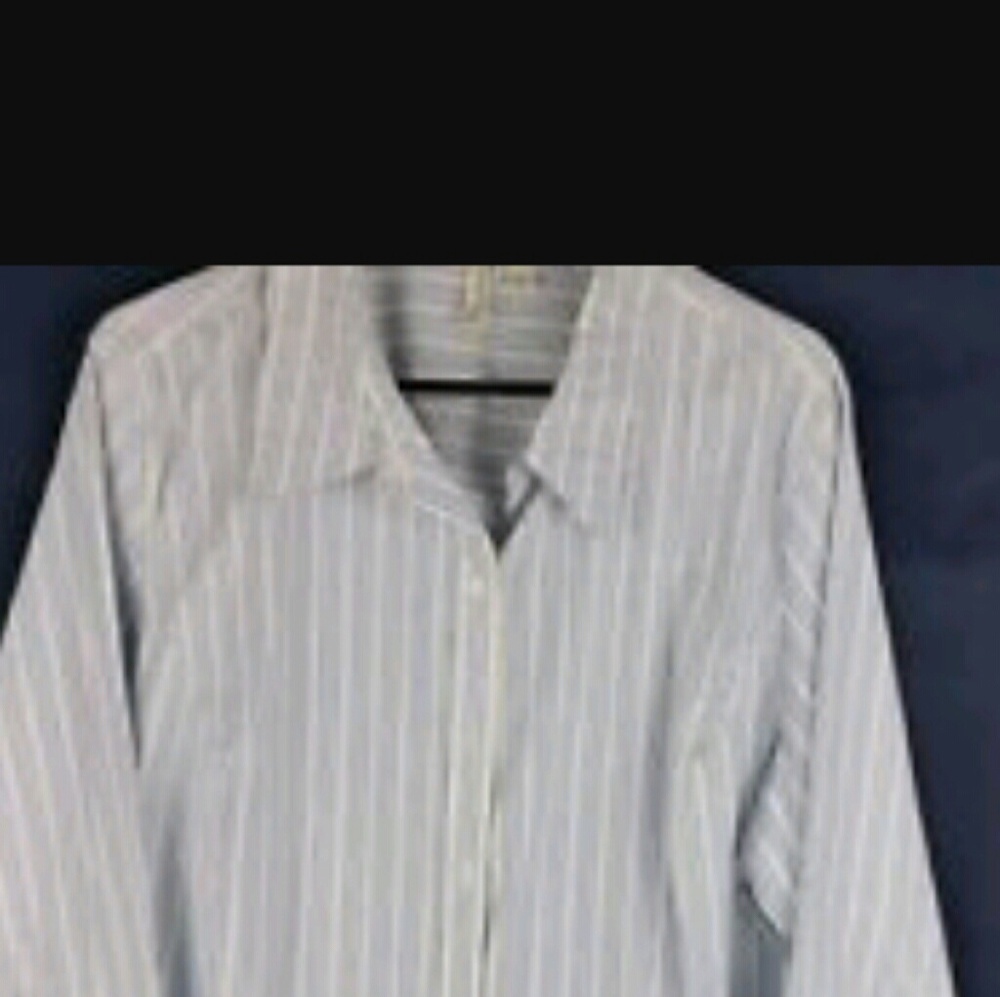 Button down dress shirt