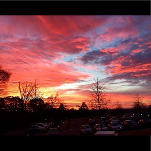 Meet your Posher, Rhonda