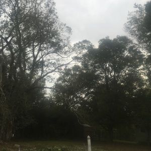 Meet your Posher, Evans