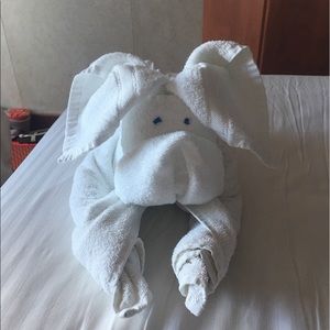 Meet your Posher, Kari