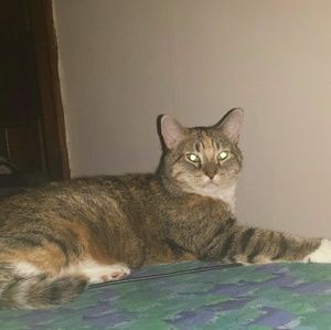 Meet your Posher, Sara