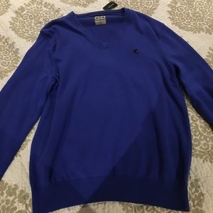 Blue Express V-Neck Sweater