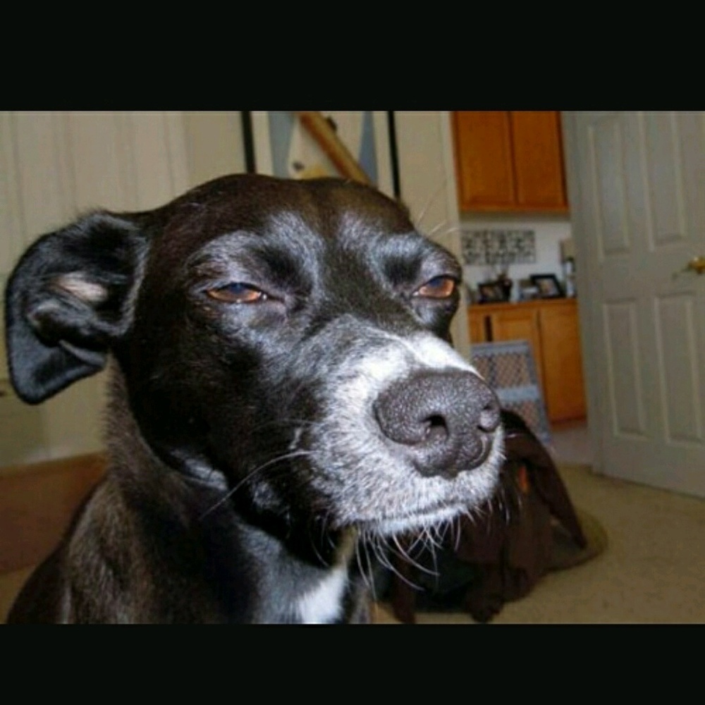 Meet your Posher, Jason