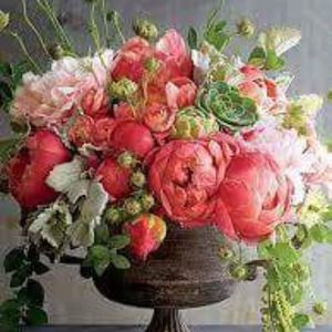 Meet your Posher, Amina