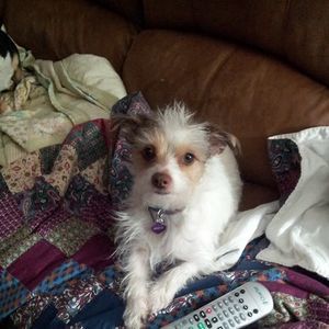 Meet your Posher, Barbara j