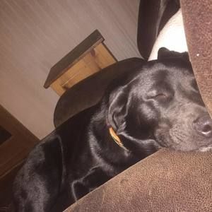 Meet your Posher, Tim