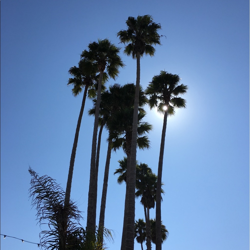 Meet your Posher, Kristina