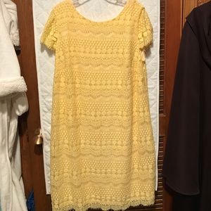Buttery yellow lace sheath dress. 14W