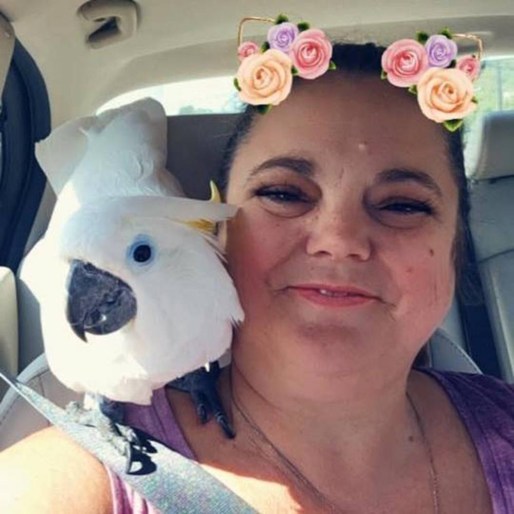 Meet your Posher, Debbie