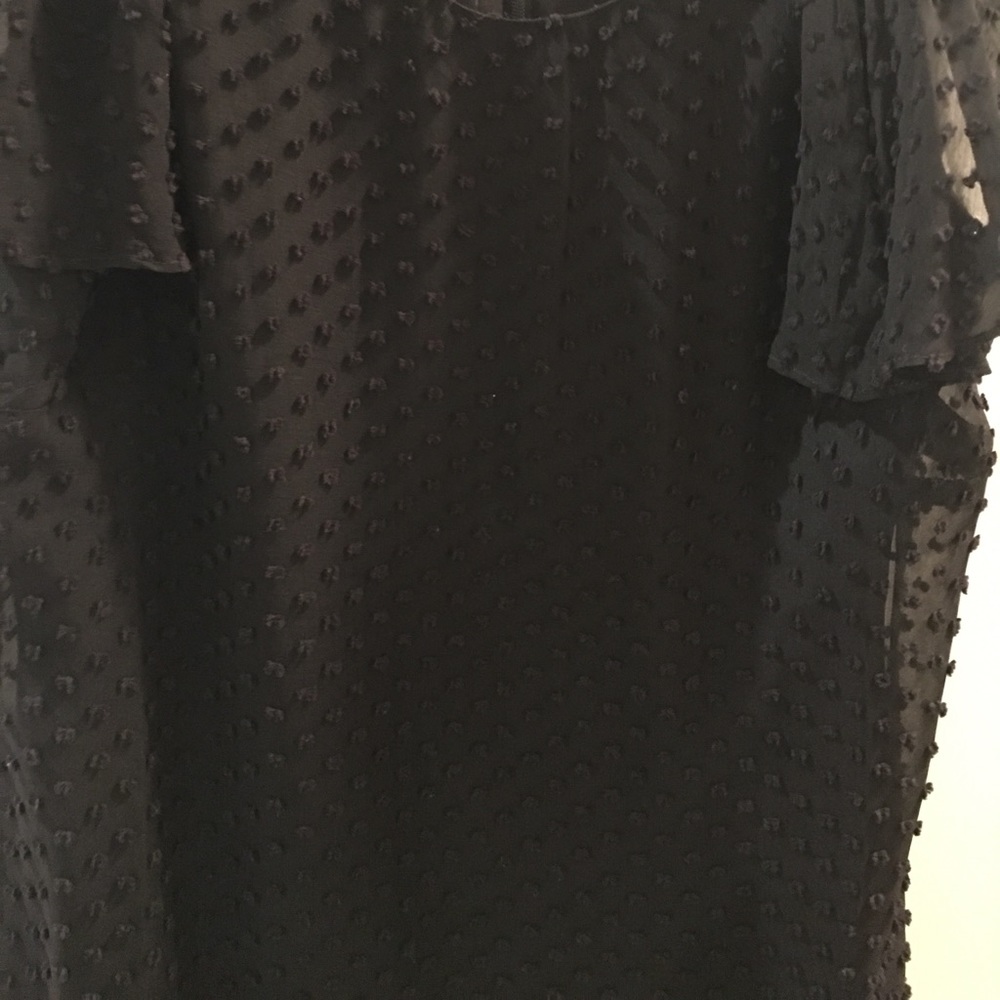 Jcrew Black Swiss dot dress - Picture 8 of 8