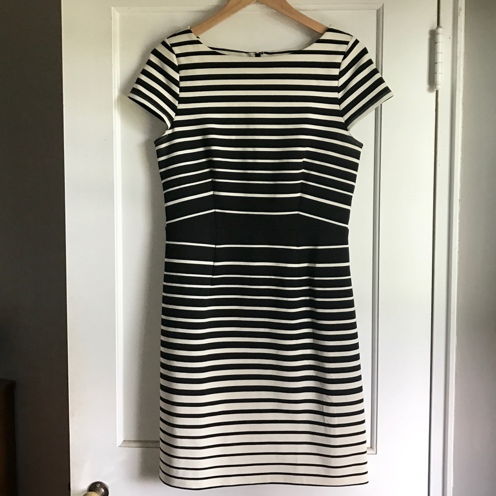 Loft short sleeve dress