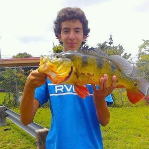 Meet your Posher, Daniel