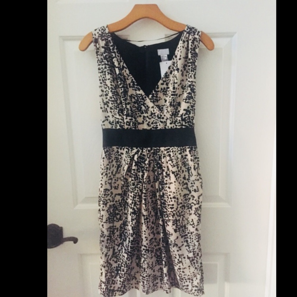 H&M Black and Tan Dress