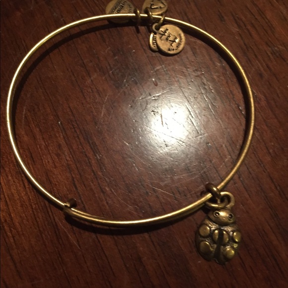 Alex and Ani Ladybug Bracelet - Picture 1 of 2