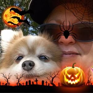 Meet your Posher, Angie