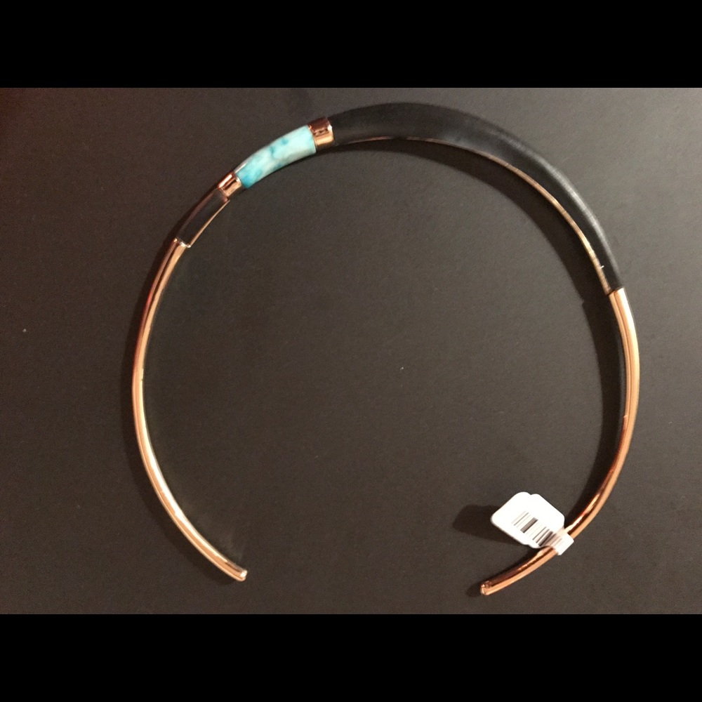 New Alexis Bittar Necklace!!