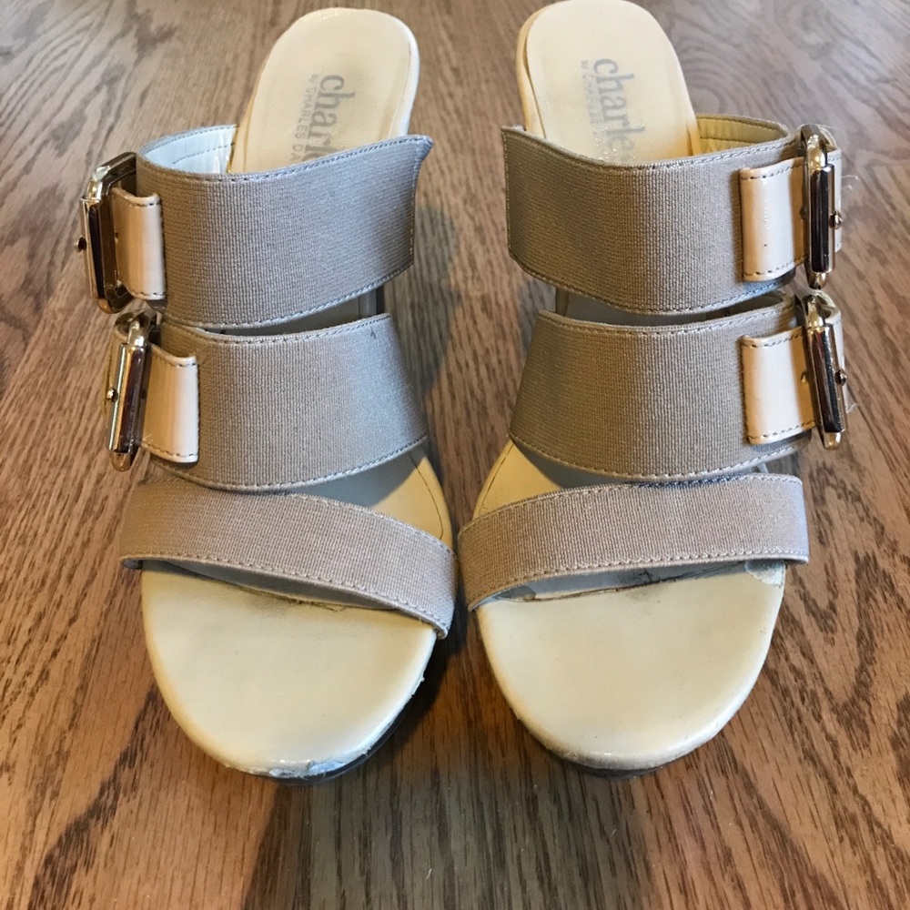 Charles David Buckle Detail Wedge Sandal