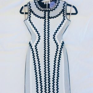 Herve Leger By Max Azria Dress