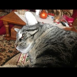 Meet your Posher, Emma