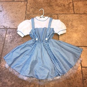 Dorthy from the Wizard Of Oz Costume