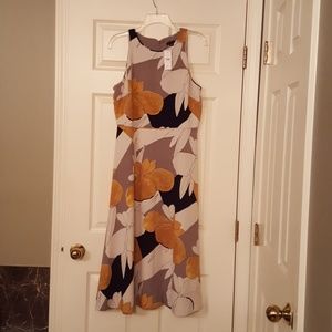 Ann Taylor Dress