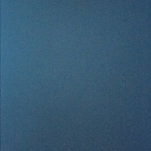 Meet your Posher, Carson