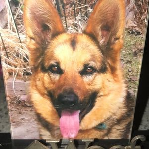 Meet your Posher, Mary jo