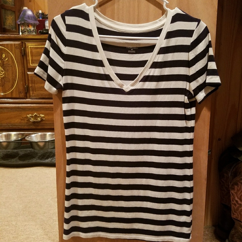 Navy and White Striped V-neck