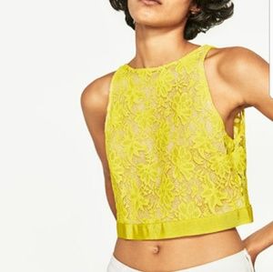 Brand new Zara lace crop top with open back